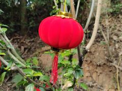 -三门江国家森林公园