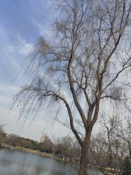 -玄武湖景区-情侣园游乐场
