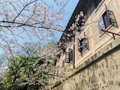 -武汉大学-樱园
