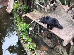 -长鹿旅游休博园