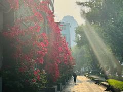 -四川大学(华西校区)