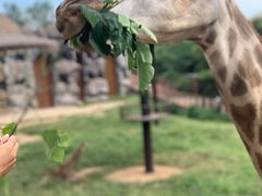 -济南野生动物世界