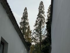 -白鹿洞书院