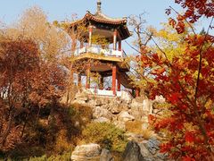 -莲花池公园