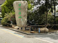 -溱湖国家湿地公园