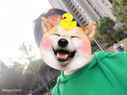 -镁连社·美联社