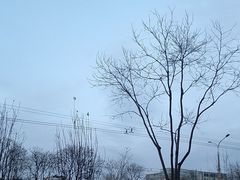 -又一福烤鸭·北京菜(东四店)