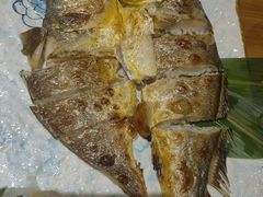 盐烤鲜黄花鱼-鮨桐日本料理(望京店)