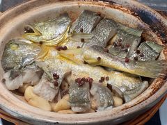 砂锅焗黄花鱼-1937青岛老味道·海肠捞饭·青岛菜(大鲍岛栈桥店)