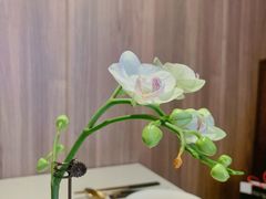 -钟菜·粤菜点心·宴请(海上世界·汇港二期店)