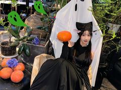 -三秋舍·梦幻岛(小西路店)