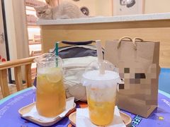 -滚猫咖啡·猫咖·猫友好撸猫(未来城店)