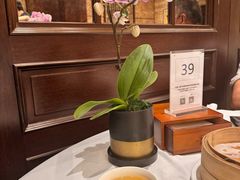 -明阁 Ming Court(广州朗豪酒店)