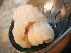 -华哥新鲜猪精品美食