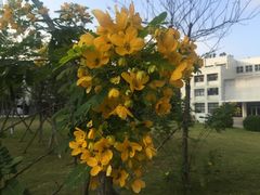 -汕头大学-图书馆