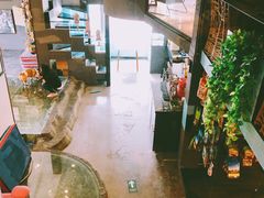 -百好乐宠物友好餐厅(朝外大街店)