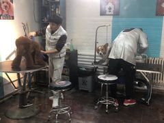 -派多格宠物·购宠(靛厂路店)