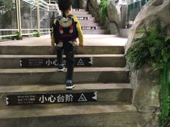 -福州罗源湾海洋世界旅游区