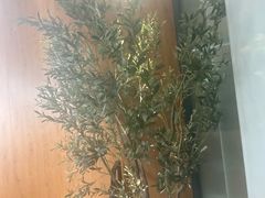 -新紫霞养生·影院足道·SPA(金山区店)