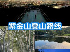 -紫金山山顶公园