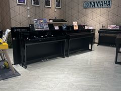 -知音艺术教育培训·钢琴培训·音乐培训(河西金鹰世界校区)