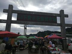 -示范集贸市场