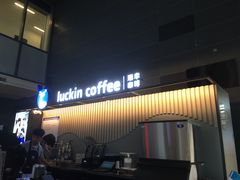 -瑞幸咖啡(艺树家工场店)