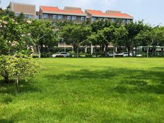 -厦门国家会计学院