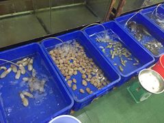 -QQ海鲜餐厅
