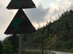 -紫鹊界梯田景区