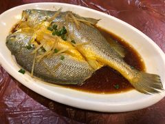 -阿杰臻选海鲜饭店(普陀山店)
