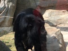 -泉州海丝野生动物世界