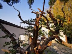 -观唐（国际）度假村温泉