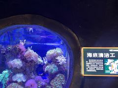 -郑州海洋馆