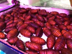 蚕蛹-盛华世家商业广场农贸水产综合批发市场