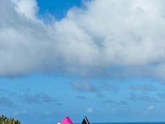 -塞班岛国际机场