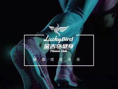 -金吉鸟健身游泳