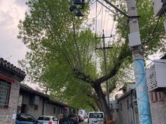 -玫瑰红烤羊排(北新桥三条店)