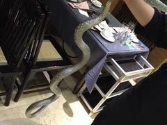-金龙·打边炉(武进路店)