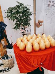 -静待花开瑜伽尊巴会馆