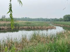 -野鸭湖国家湿地公园
