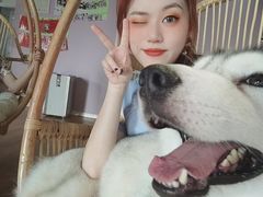 -Husky Go! 哈士奇体验馆·宠物咖啡厅狗咖