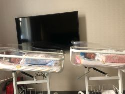 -海豚湾高端月子会所(黄浦店)