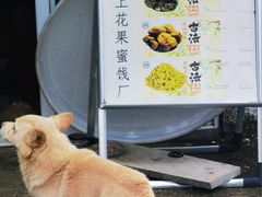 -苏州市吴中区光福窑上花果蜜饯厂