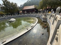 -顺峰山公园