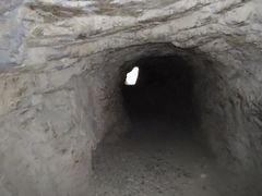 -上海佘山国家森林公园天马山园