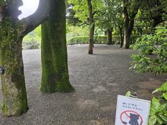 -水前寺成趣园