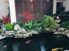 -鲤院·新中式美学·庭院餐厅(夫子庙店)