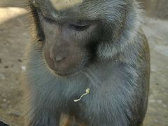 -辛玛王国游乐园