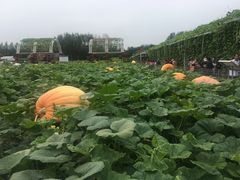-长春农博园
